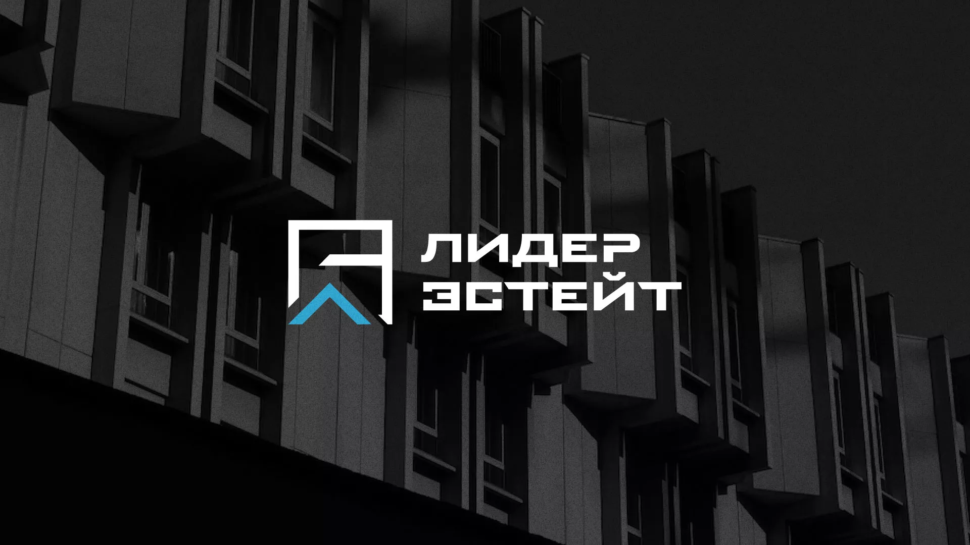 Разработка логотипа агентства недвижимости «Лидер Эстейт» в Норильске